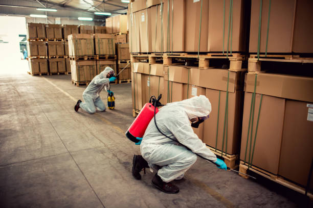 Best Pest Prevention Services  in Eastport, ME