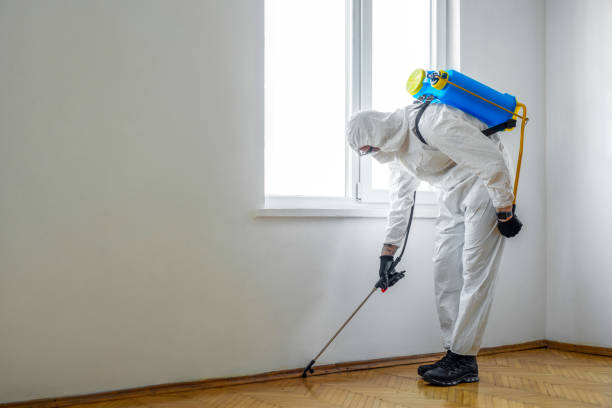Best Best Pest Control Companies  in Eastport, ME