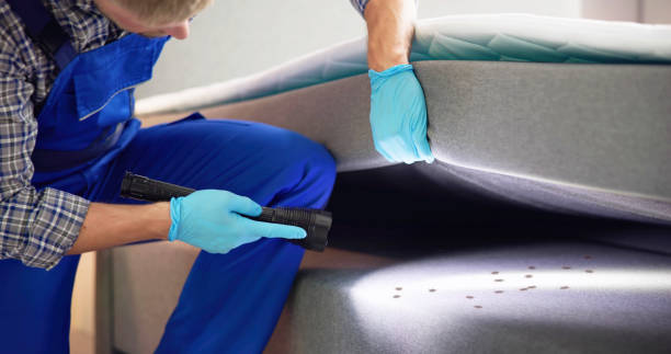Best Mosquito Control Services  in Eastport, ME
