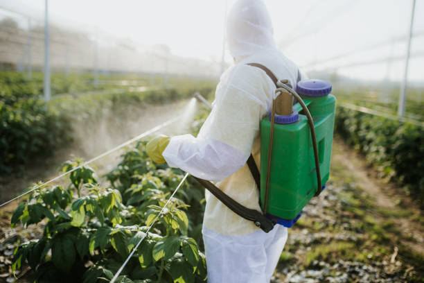 Best Wildlife Control Services  in Eastport, ME
